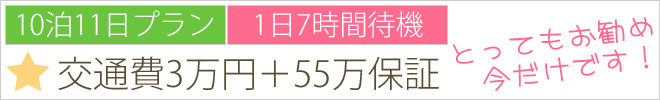 10泊11日プラン55万保証